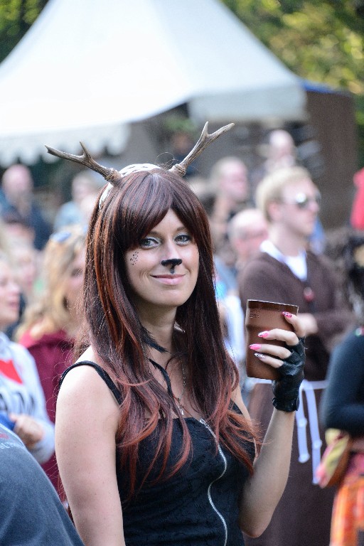 ../Images/Zaterdag Castlefest 2015 333.jpg